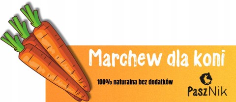 Smakołyki smaczki przysmak dla konia marchewka naturalna 2kg