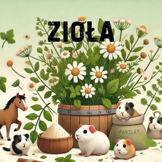 zioła